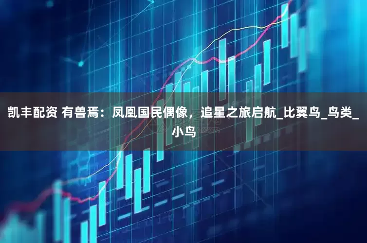 凯丰配资 有兽焉：凤凰国民偶像，追星之旅启航_比翼鸟_鸟类_小鸟