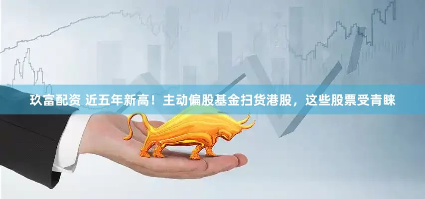 玖富配资 近五年新高！主动偏股基金扫货港股，这些股票受青睐